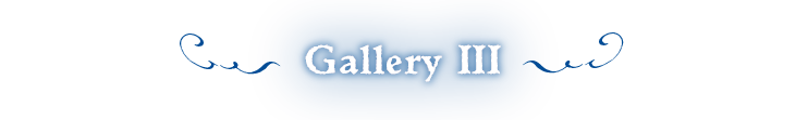 Gallery III