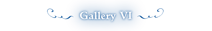 Gallery VI