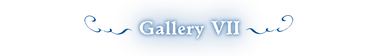 Gallery IX
