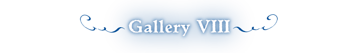 Gallery VIII